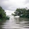 Mouth of Guadalupe River