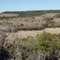 Balcones National Wildlife Refuge