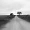 Country Road in Floresville, TX