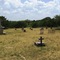 St. Mary's Pioneer Cemetery