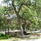 Greenwood Cemetery