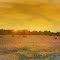 Sunset on Bluebonnets