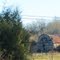 Barn in Trees