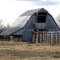Cattle Barn