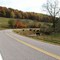 Curves of TN-129