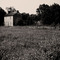 Tennessee Farm