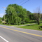 Kinney's Road: 9/2002