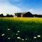 Trinity Presbyterian Church PCA