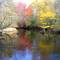 The river in autumn