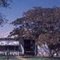 Seigler Family Home