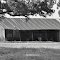 *Barn is old but Hay is still Fresh!*