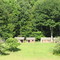 Old Soldiers Huts
