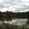 Lord Stirling Park Pond & Nature Center