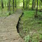 Boondocks Boardwalk