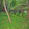 Foote Park
