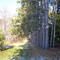 Frelinghuysen Arboretum