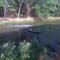Squaw Creek, Glen Rose, United States