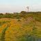 West Tx Spring