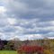 A pretty sky and trees