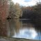 The stillness of the lake