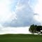 Big Sky