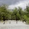 Heavy Flooding