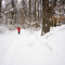 Trail to Birchwood Lake