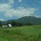 Old Rag Mountain from Road 643