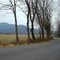 Nethers Road