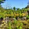 Glades Quarry