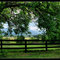 Virginia Blue Ridge