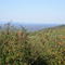 View from Carters Mountain (Near Charlottesville, Va)