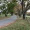 Ashlawn-Highland Drive in the Fall