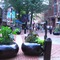 Charlottesville Downtown Promenade