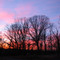 American Sunset