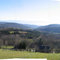 View from Ellen's farm