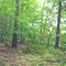 Turkey Brook Park