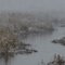 Black River Mist