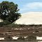The Yanerbie Sand Hills  Eyre Peninsula Sa
