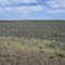 Grimes Lake L Property-1