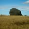 The Mansfield Erratic