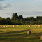 Hay bales - 200906LJW