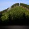 Capital Forest D-2000 Road.