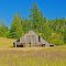 Abandoned barn