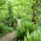 Coal Creek Trail