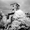 Historical Mercer Island Water Tower