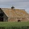 Barn in wheat field