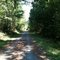 Tree Tunnel Ahead on the Snoqualmie Valley Trail