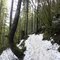 Rattlesnake Ledge Trail