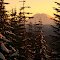East Summit, Rattlesnake Mt